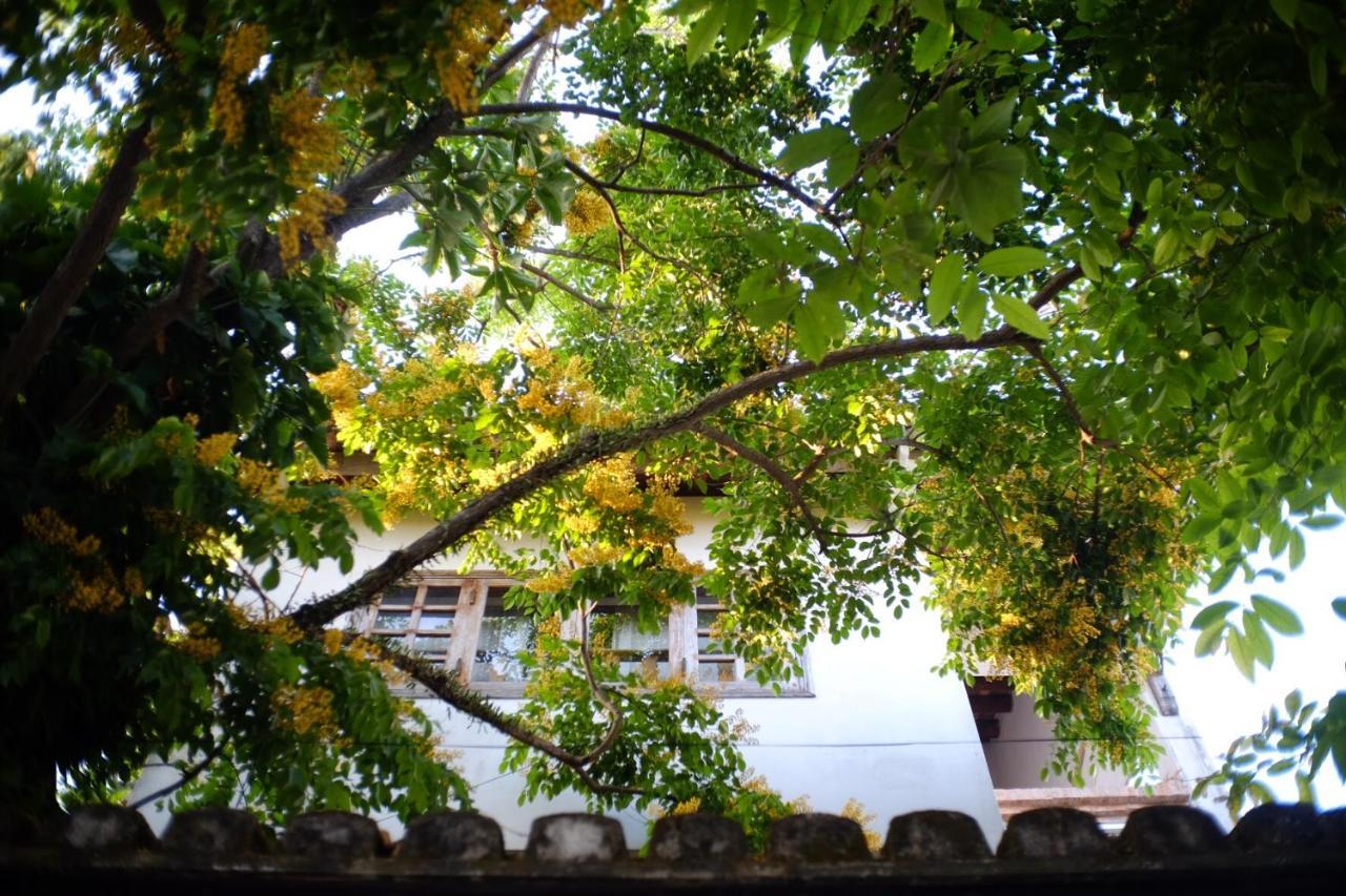 Mali Home Hoi An Exteriér fotografie